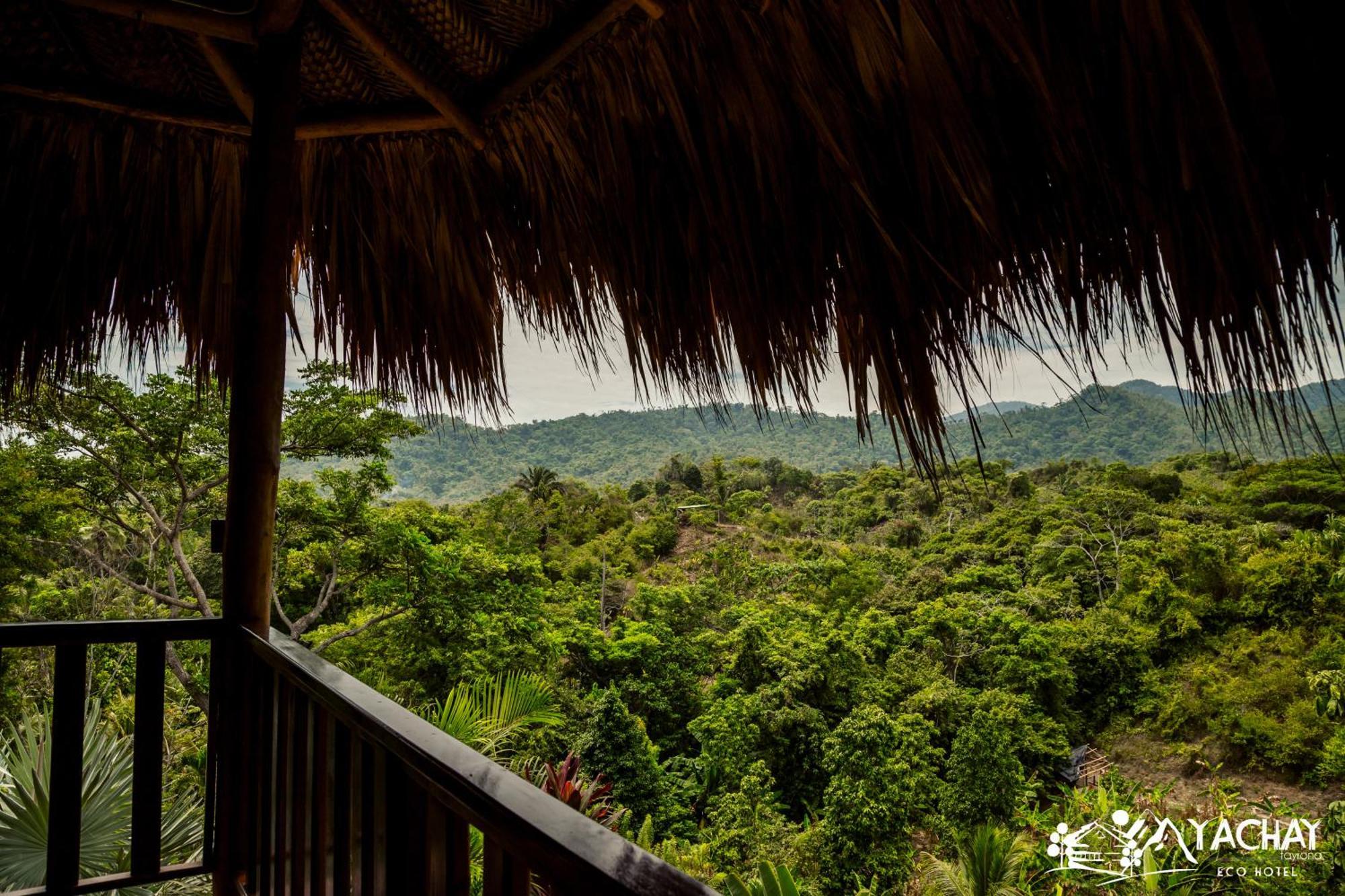 Ecohotel Yachay Tayrona Dentro Del Parque Tayrona El Zaino Exterior photo