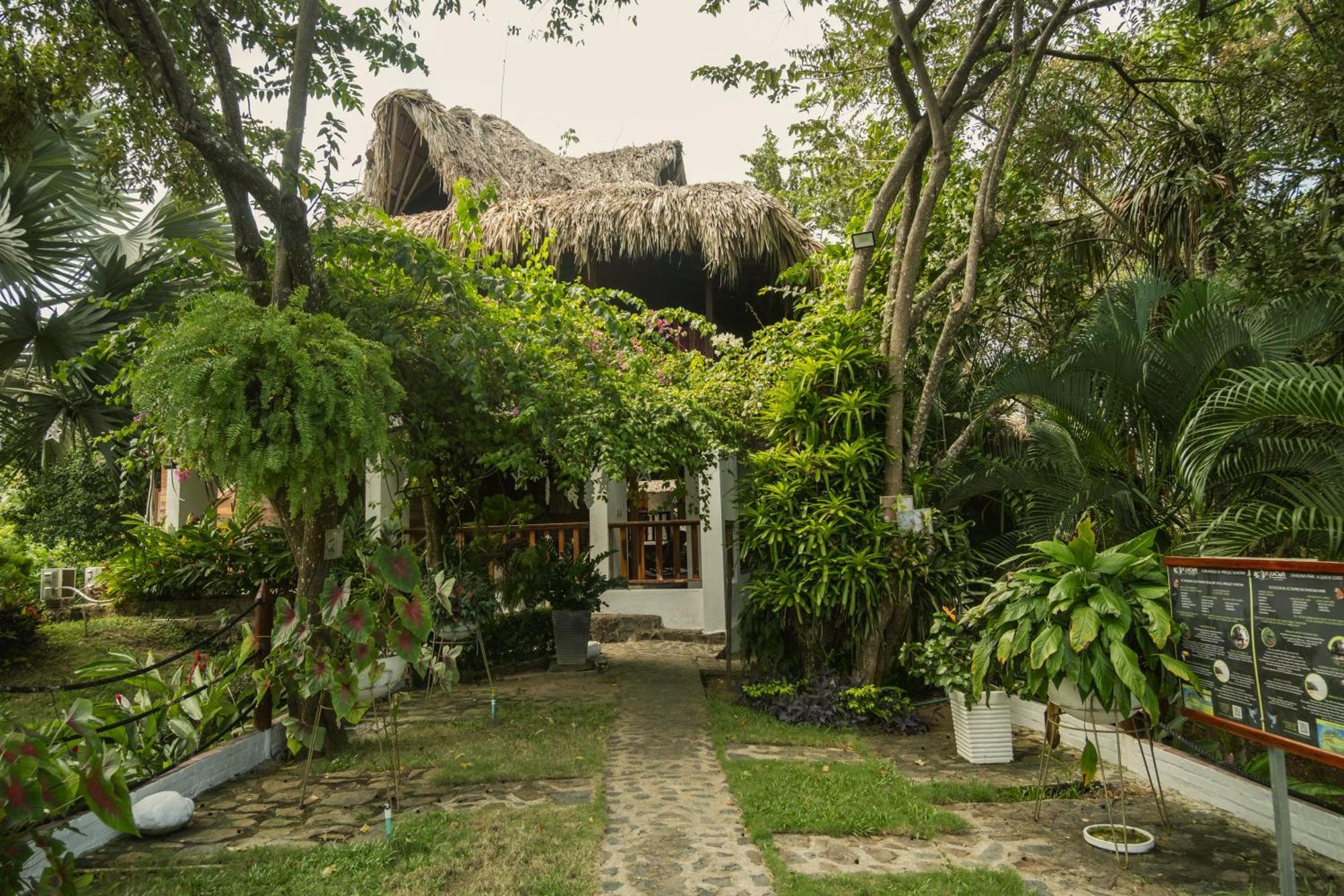 Ecohotel Yachay Tayrona Dentro Del Parque Tayrona El Zaino Exterior photo